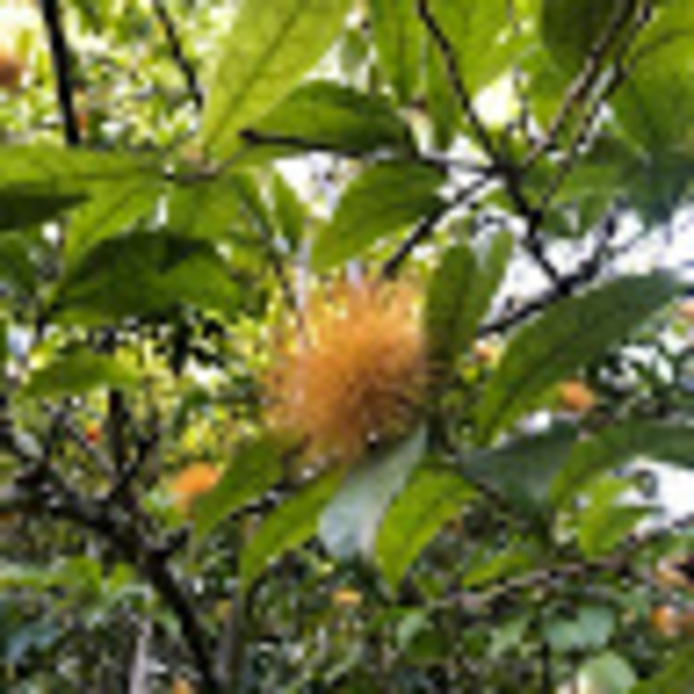 Meet your Posher, Wonder